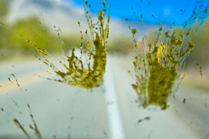 The Best Way to Remove Insect Splatter From Your Car